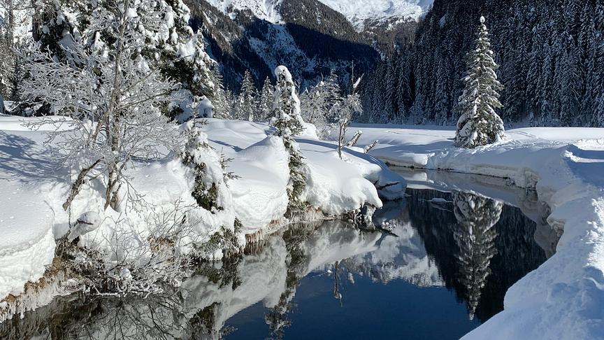 © Monika Willmann Mallnitz Seebodental. (Monika Willmann)