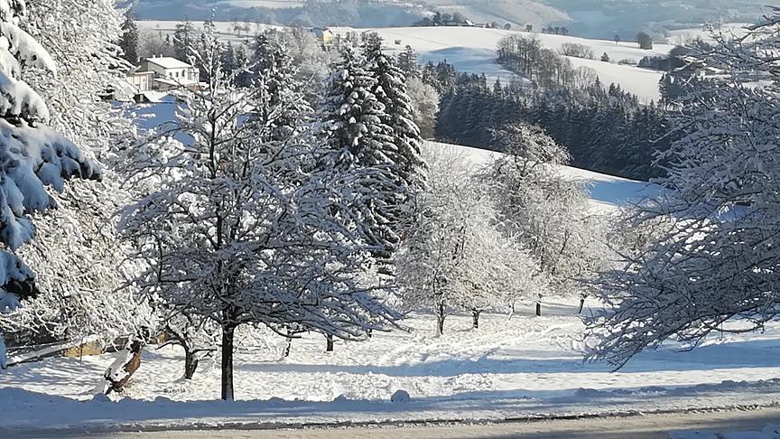 © Anna Eder Wunderschöne Aussicht zum Ostrong. (Anna Eder)