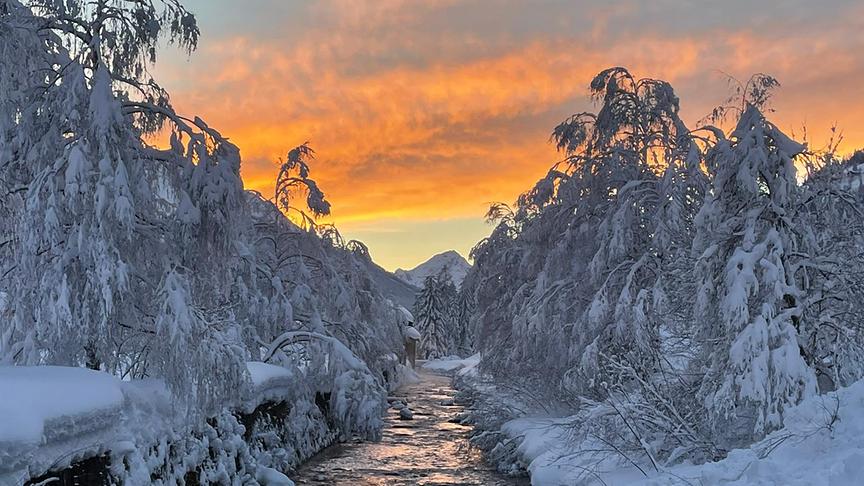 Kleiner Bach mit vom Schnee bedeckte und heruntergedrückte Bäume sowie einem orangeleuchtendem Himmel