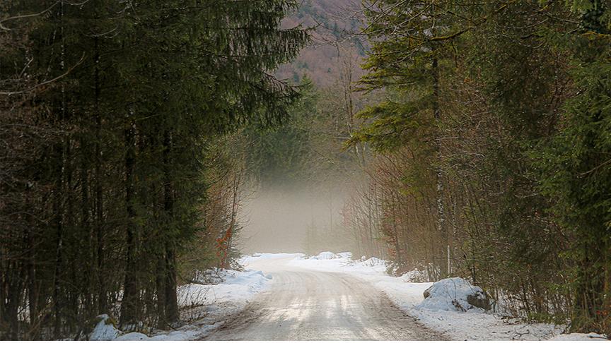 Ein breiter Weg durch den Wald, links und rechts liegen noch Schnee, weiterhinten hängt der Nebel zwischen den Bäumen