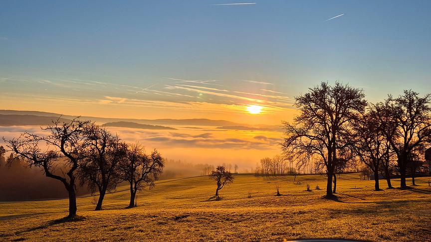 Morgenstimmung in Peilstein im Mühlviertel. (Sabine Lauß)