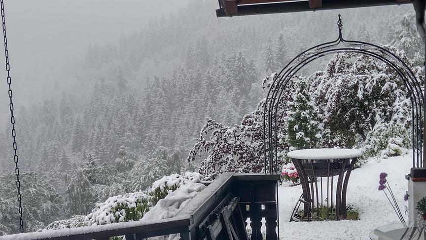Verschneiter Garten und Bäume.