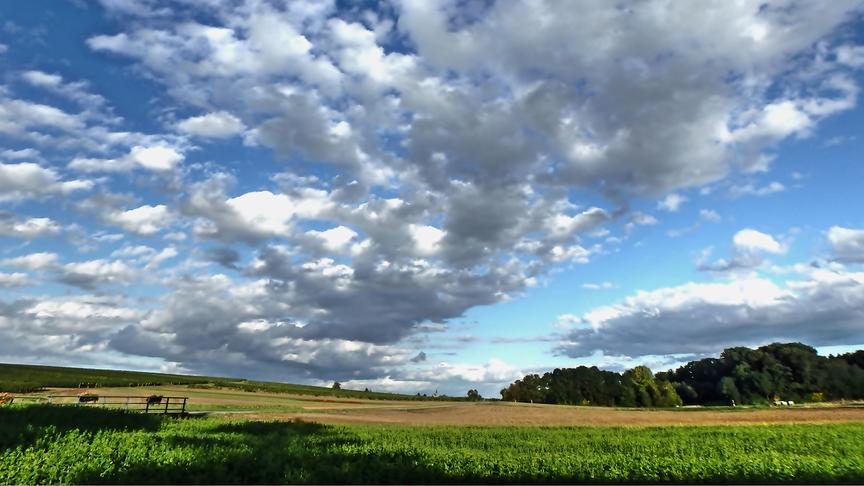 © Gerti Portisch Wolken'lawine' rollt über das Weinviertel. Poysdorf (Gerti Portisch)