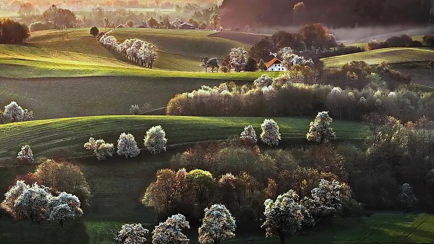 © Peter Grill Frühling im Hausruckviertel heute Früh einfach schön. (Peter Grill)
