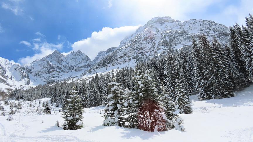 © Hans ter Braak Winterwonderland Kleinwalsertal heute (Fotos auf 1350m mit 15cm Neuschnee). (Hans ter Braak)