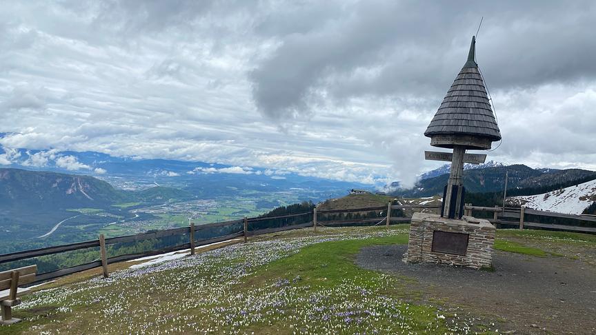 © Florian Fina Marterl am Dreiländereck mit Krokuswiese und dem Blick in Richtung Villach: Der Frühling ist nun auch auf den Bergen angekommen. (Florian Fina)