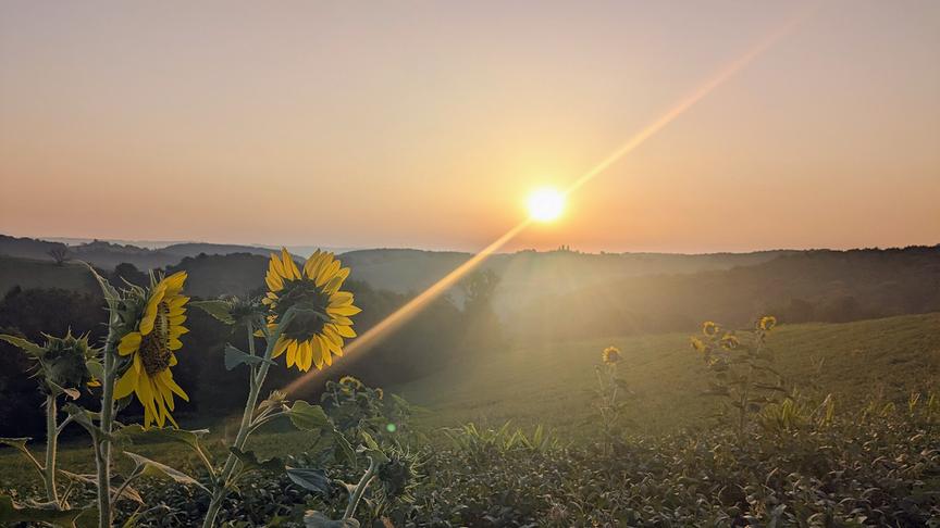 © Franz Pausch Sonnenaufgang (Franz Pausch)