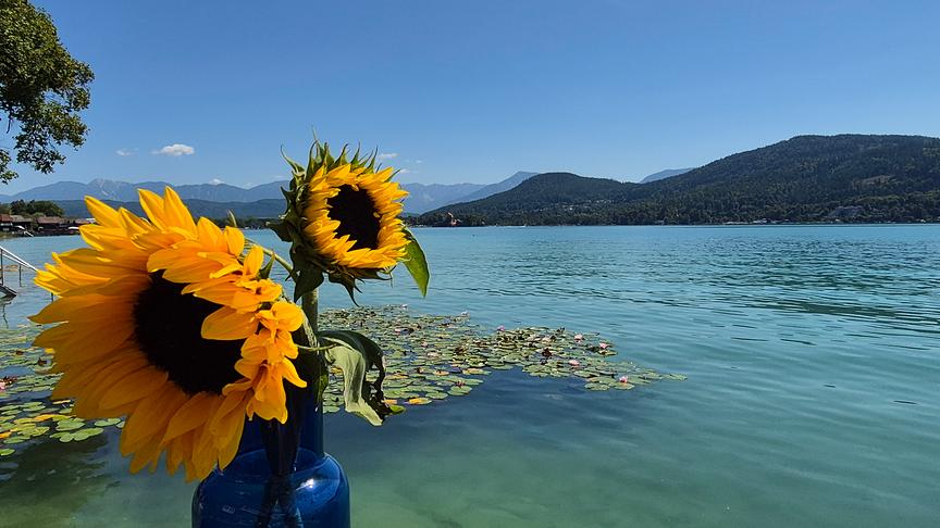 Aufnahme zweier Sonnenblumen in einer Vase vor türkis-blauem See mit Seerosen. Im Hintergrund erstreckt sich eine Hügel und Bergkette unter blauem, fast wolkenlosem Himmel.