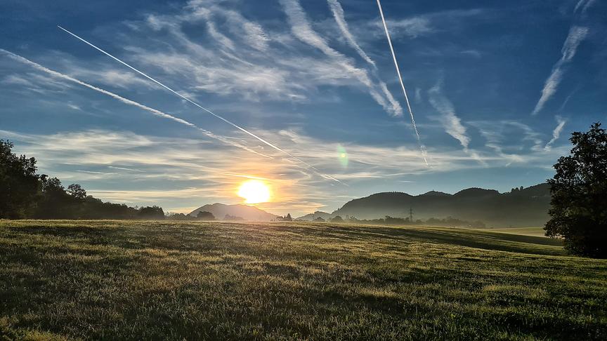 © Christian Hahn Morgensonne auf einer Wiese mit Blick Richtung Reinsberg. (Christian Hahn)