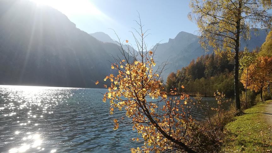 Almsee mit Bergen und herbstlich bewachsenem Ufer