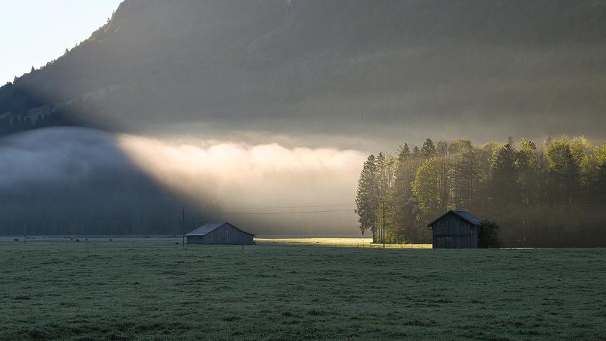 © Manfred Gasser Morgendliche Nebelstimmung in Schnepfau/Bregenzerwald. (Manfred Gasser)