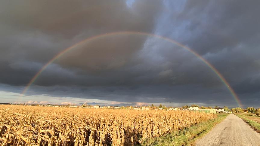 © Karin und Andreas Tietze Regenbogen über Leopoldsdorf (Karin und Andreas Tietze)