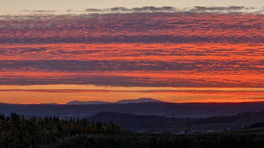 Der Schneeberg in abendliches Orangerot getaucht, von Neusiedl am See aus betrachtet. (Tibor Schachenhofer)