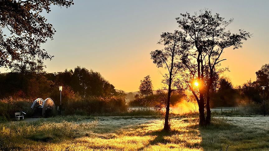 Der Herbst leuchtet in seinen goldenen Farben (Obertrum). (Doris Stemeseder)