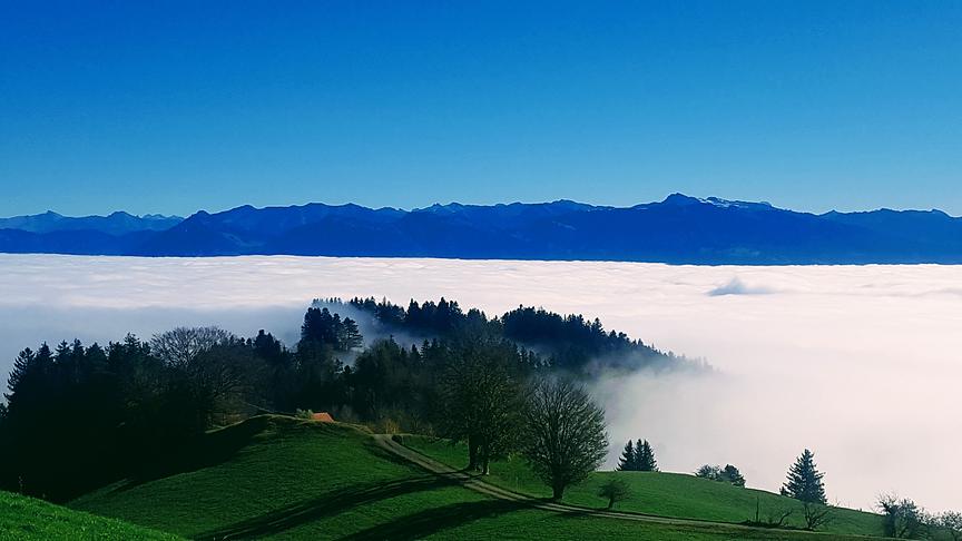 © Hans Georg Bösch Blick von St. Anton - 1.110 m Seehöhe auf das nebelverhüllte Rheintal. (Hans Georg Bösch)