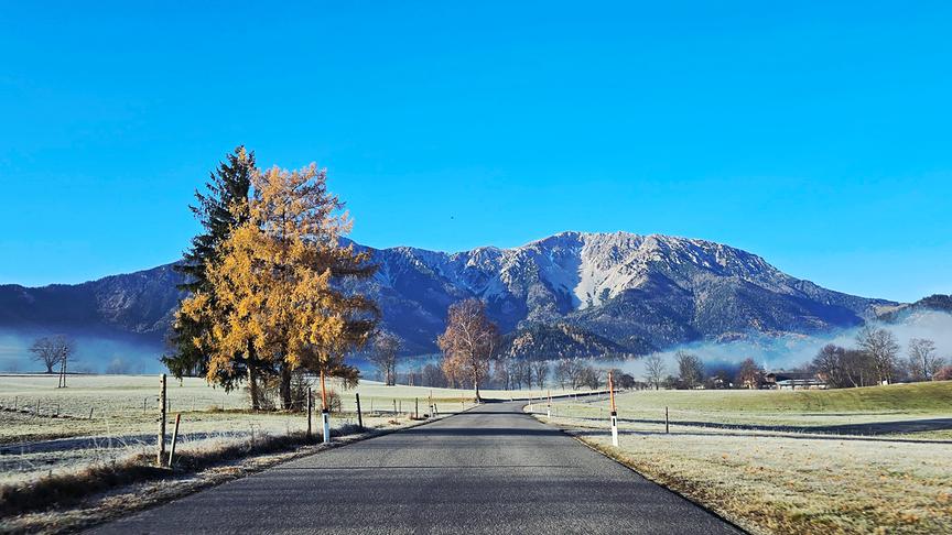Blick Richtung Schneeberg auf dem Weg von Puchberg nach Losenheim (Ursula Schreiner)