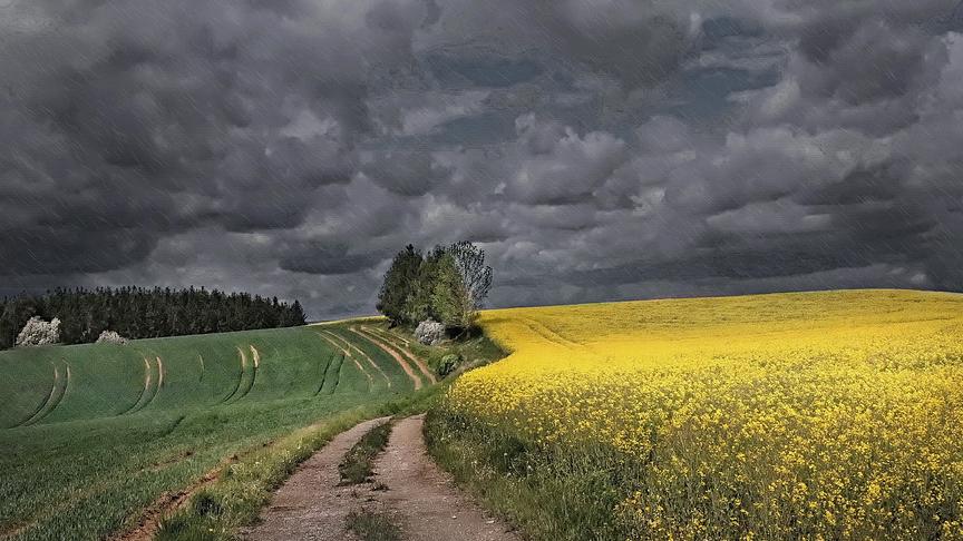 © Peter Grill Im Hausruck gibt es Regen,Regen usw. (Peter Grill)