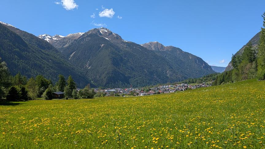 Wiese mit gelbem Löwenzahn vor bergiger Kulisse bei blauem, fast wolkenlosem Himmel.