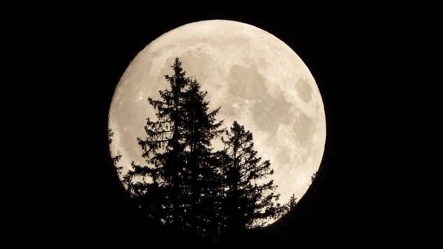 © Hans ter Braak Vollmond. (Hans ter Braak)