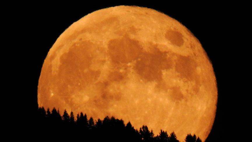 © Klaus Gaggl Vollmond Untergang. Gailtal Wald Guggenberg. (Klaus Gaggl)