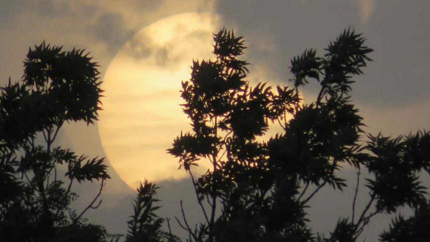 © Sabine Wunsch Sonnenuntergang in Hausbrunn. (Sabine Wunsch)