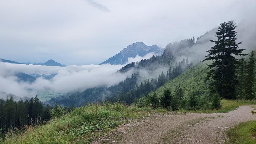 © Georg Ackerer Ausblick auf ein nebelverhangenes Tal. Der Nebel zieht die bewaldeten Berghänge empor. Im Vordergrund ist ein breiter Wanderweg zu sehen, im Hintergrund steinige Berggipfel. Der Himmel über der Szenerie ist grau.