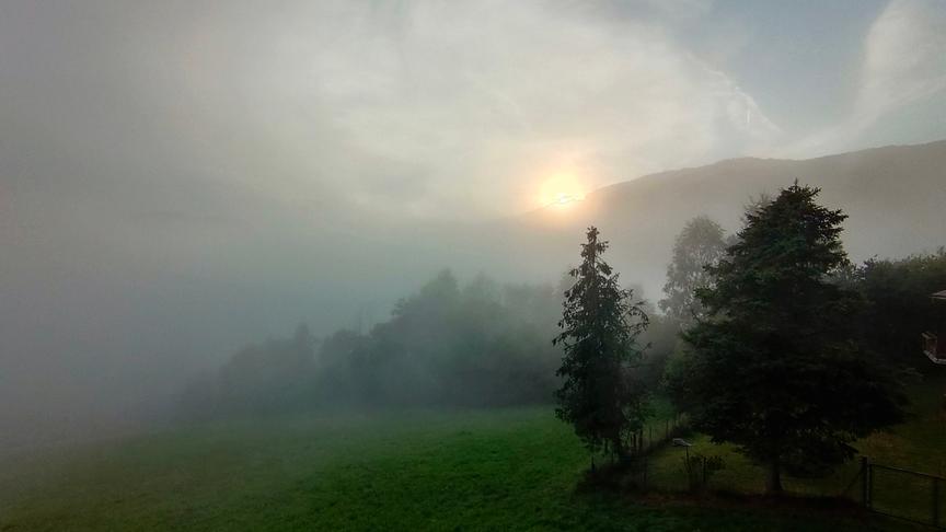 Nebelige Landschaft mit grüner Wiese, Bäumen und schemenhaften Bergen im Hintergrund. Die Sonne ist durch den Nebel als gelber Punkt zu sehen.