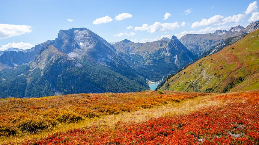 © Christa Kramer Rote Schwarzbeerblätter im Riedingtal mit Blick zum Schlierersee. (Christa Kramer)