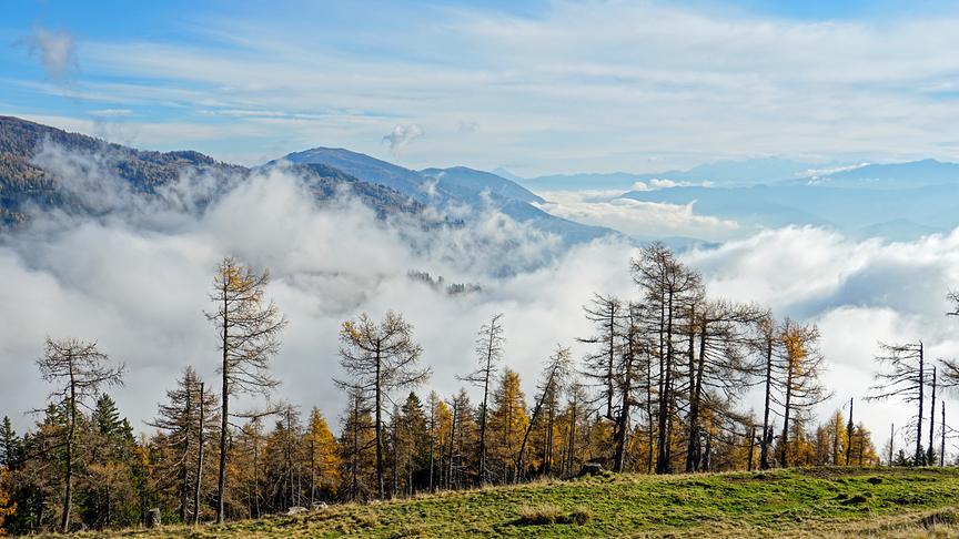 © Annelie Möser Über den Wolken. Blick von der Millstätter Alpe nach Süden. (Annelie Möser)