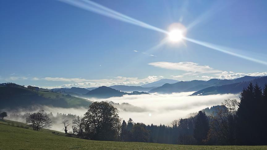 © Annemarie Aigner Herrlicher Blick vom Hochkogel - unter uns das Nebelmeer Richtung Randegg. (Annemarie Aigner)