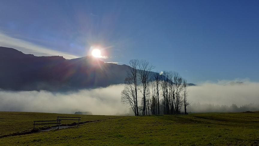 © Patricia Riml Blick aufs Nebelmeer in Sibratsgfäll, Bregenzerwald. (Patricia Riml)