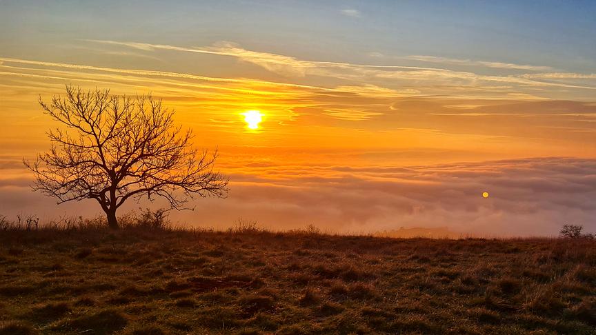 © Rita Reither Blick vom Hundsheimerkogel nach Westen. (Rita Reither)
