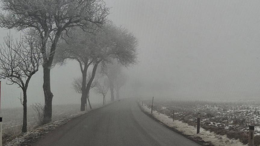 Vernebelte Landstraße mit Baumallee und Frost