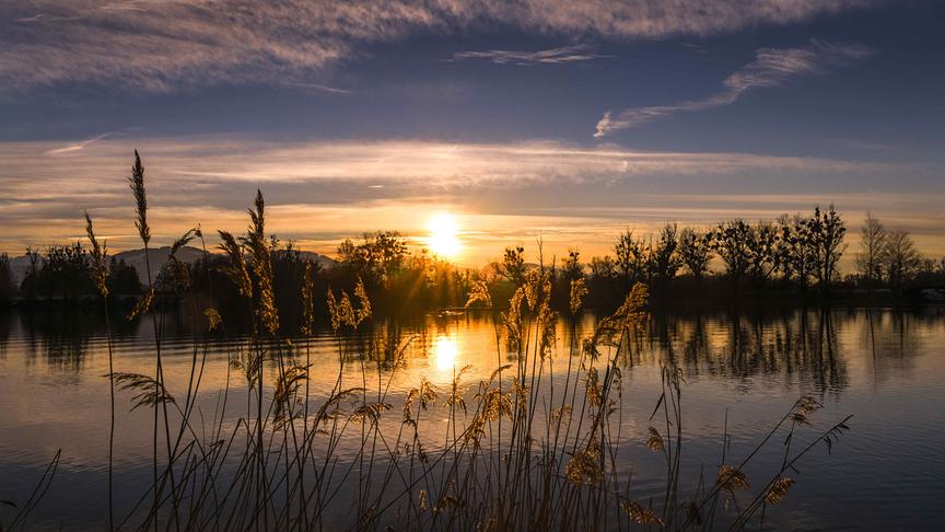 © Manfred Gasser Sonnenuntergang am Fischteich in Hard/Bodensee. (Manfred Gasser)