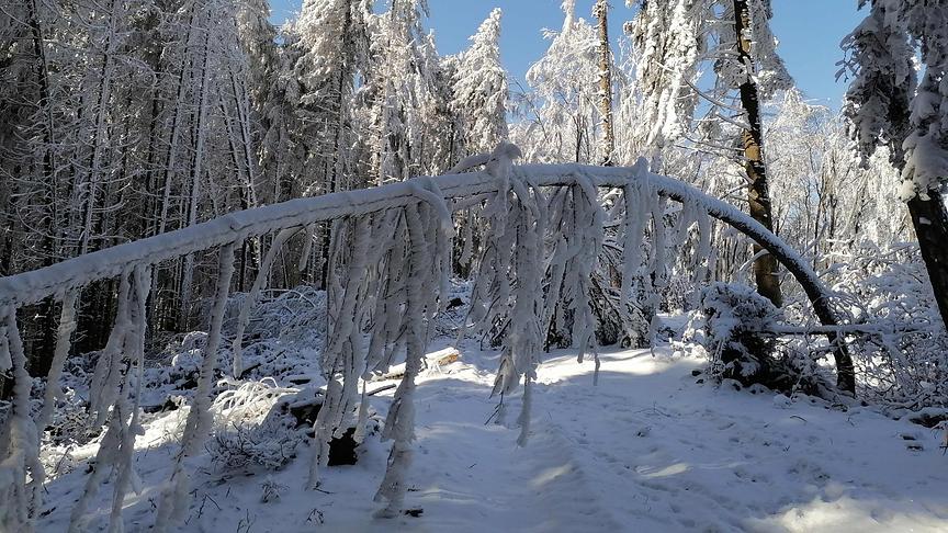 © Josef Hörhan Winterstimmung am Lonitzberg. (Josef Hörhan)