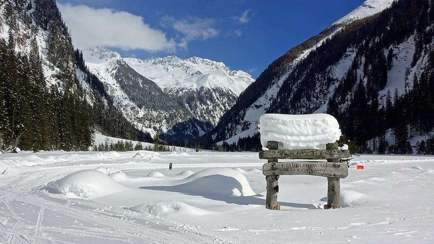 © Annelie Möser Im Seebachtal bei Mallnitz. (Annelie Möser)