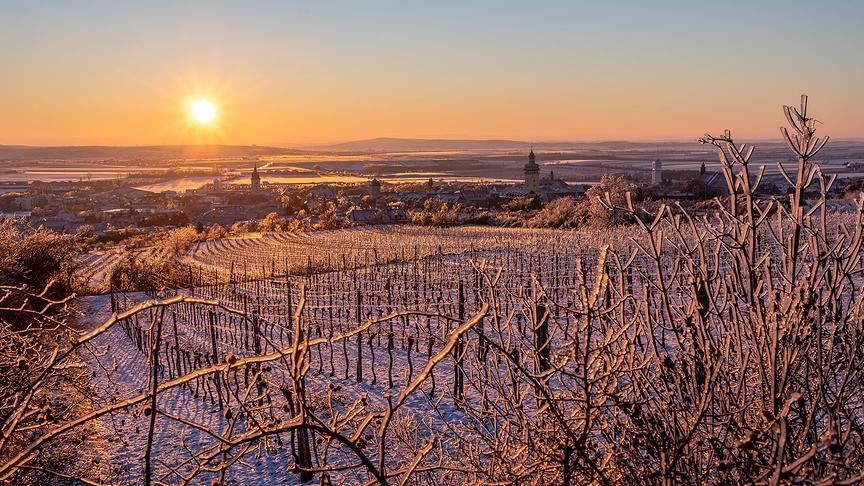 © Arnold Oblistil Sonnenaufgang in Retz. (Arnold Oblistil)