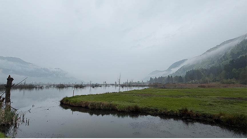 Nebelverhangenes Moor mit Gewässer und Bergen.