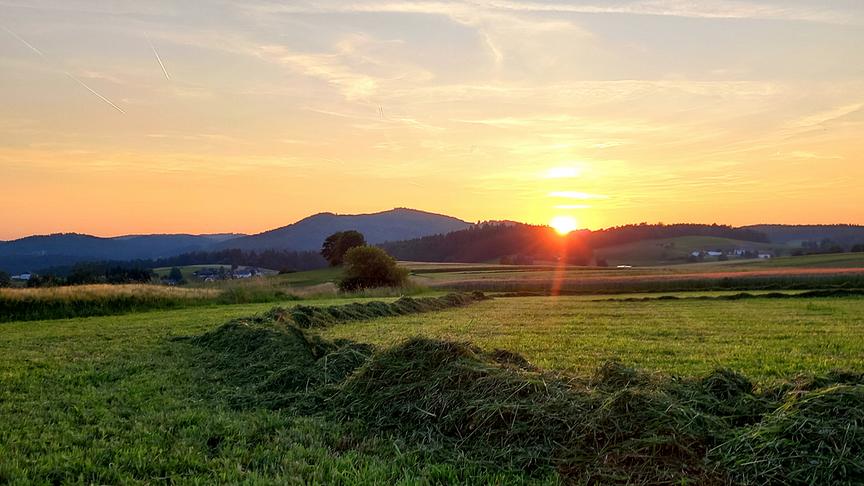 © Sabine Lauß Abendstimmung im Mühlviertel (Sabine Lauß)
