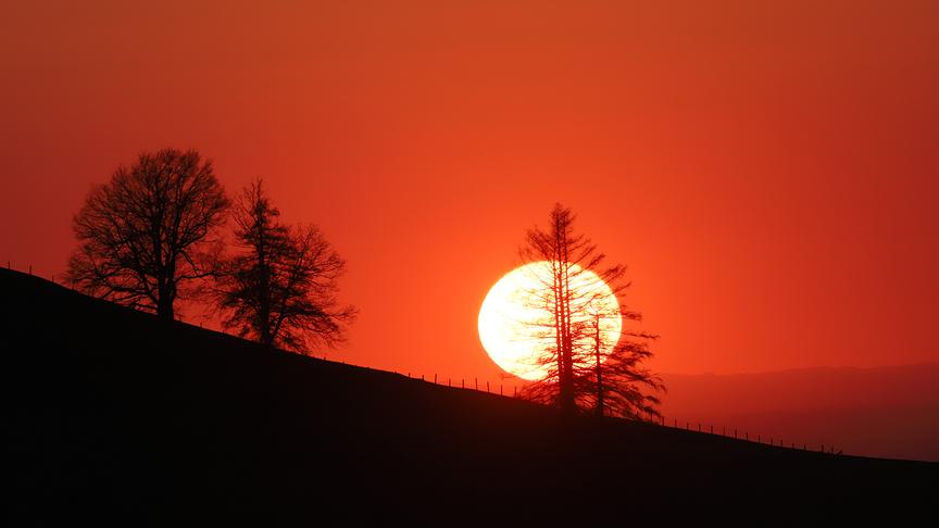 © Christian Weninger Sonnenuntergang im Mostviertel. (Christian Weninger)