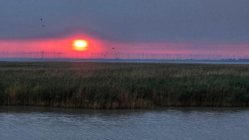 © Manfred Polansky Rötlicher Sonnenaufgang am ansonsten grauen Himmel über Windrädern und einer Seenlandschaft mit Schilf.