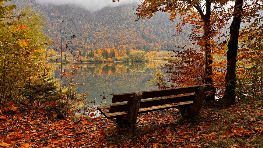 © Doris Stemeseder Herbstimmung am Hintersee (Doris Stemeseder)