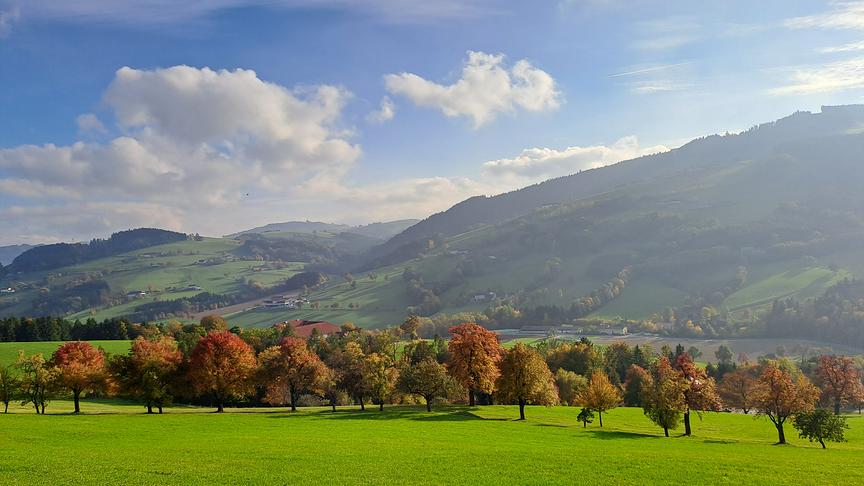 © Heidemarie Streitner Wunderschöne herbstlich bunte Bäume im saftigen Grün der Wiese mit Sonnenstrahlen und Wolken. (Heidemarie Streitner)