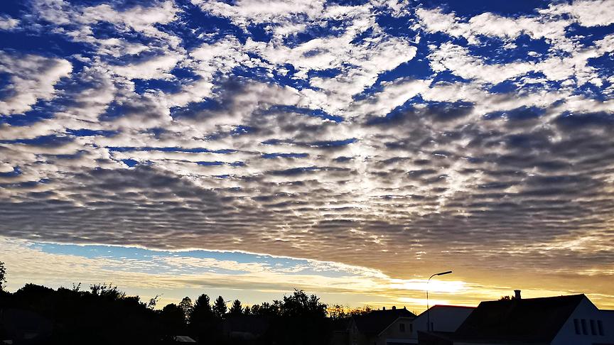 Morgenstimmung in Kleinhadersdorf. (Gerti Portisch)