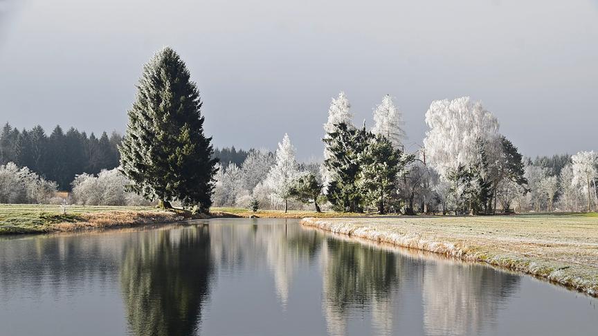 Ein Fluss neben dem vereiste Bäume und Wiesen sind