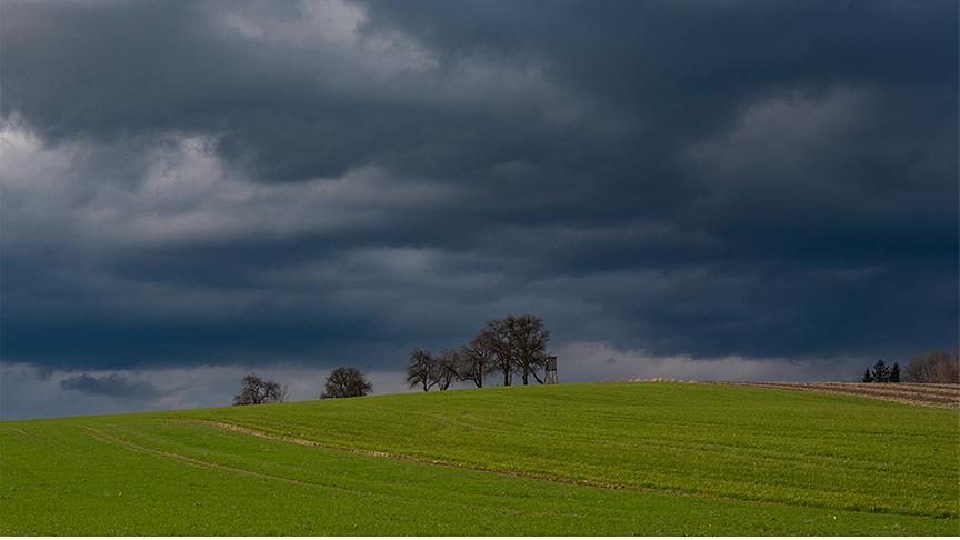 Dunkle Wolken über einem grünen Feld