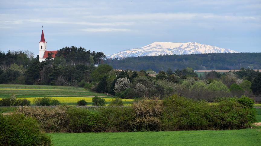 Grüne-gelbe Wiesen mit Bäumen und einer Kirche, im Hitergrund ein schneebedeckter Berg unter wolkenverhangenem Himmel.
