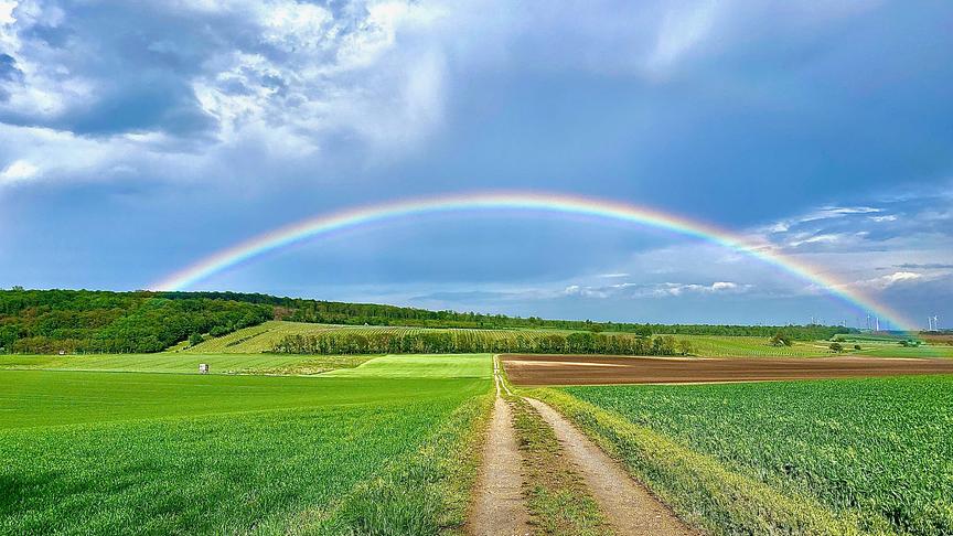 © Hans Pitnauer Regenbogen, Göttlesbrunn-Arbesthal, Weinbaugebiet Carnuntum. (Hans Pitnauer)