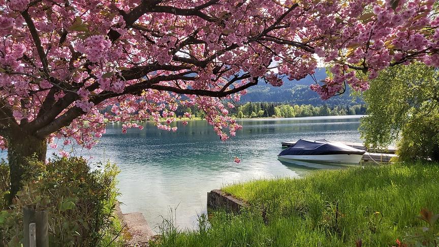 © Irene Windauer Abendstimmung Ried am Wolfgangsee. (Irene Windauer)