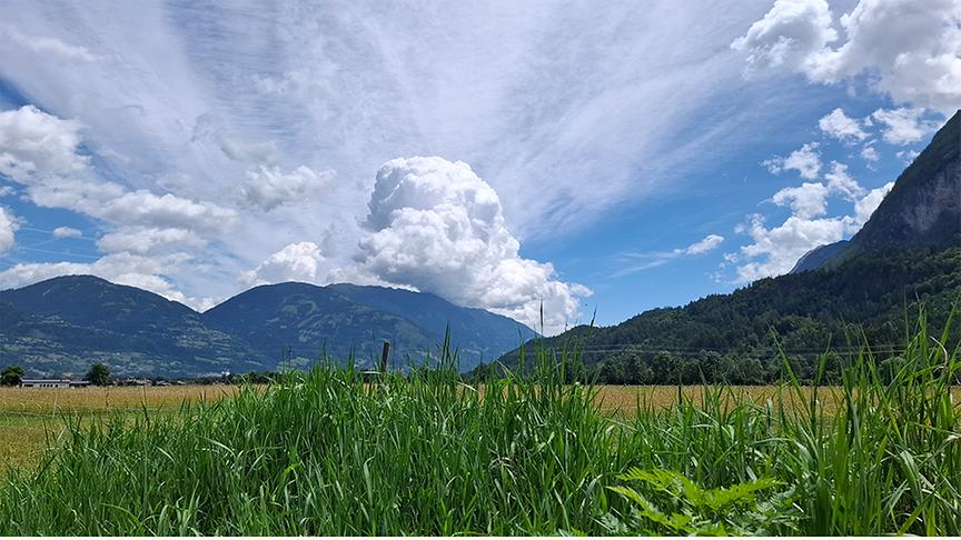 Hügelige, bewaldete Landschaft mit Getreidefeld im Vordergrund. Über einem Hügel türmt sich eine bauschige Wolke, hoch auf. Über den restlichen Himmel zieht sich eine weite Schleierwolke.